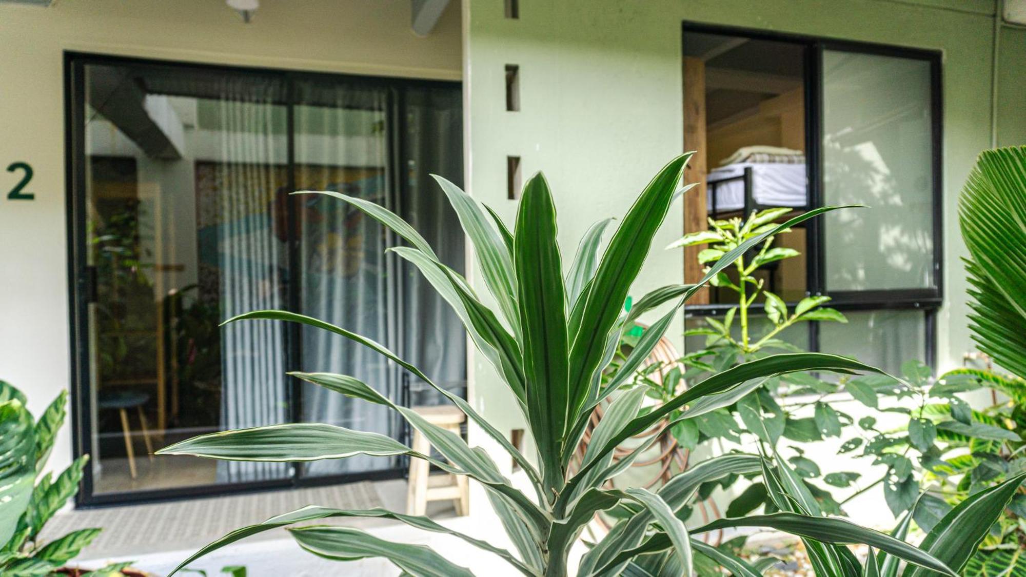 Selva House Bed and Breakfast Medellín Exteriör bild