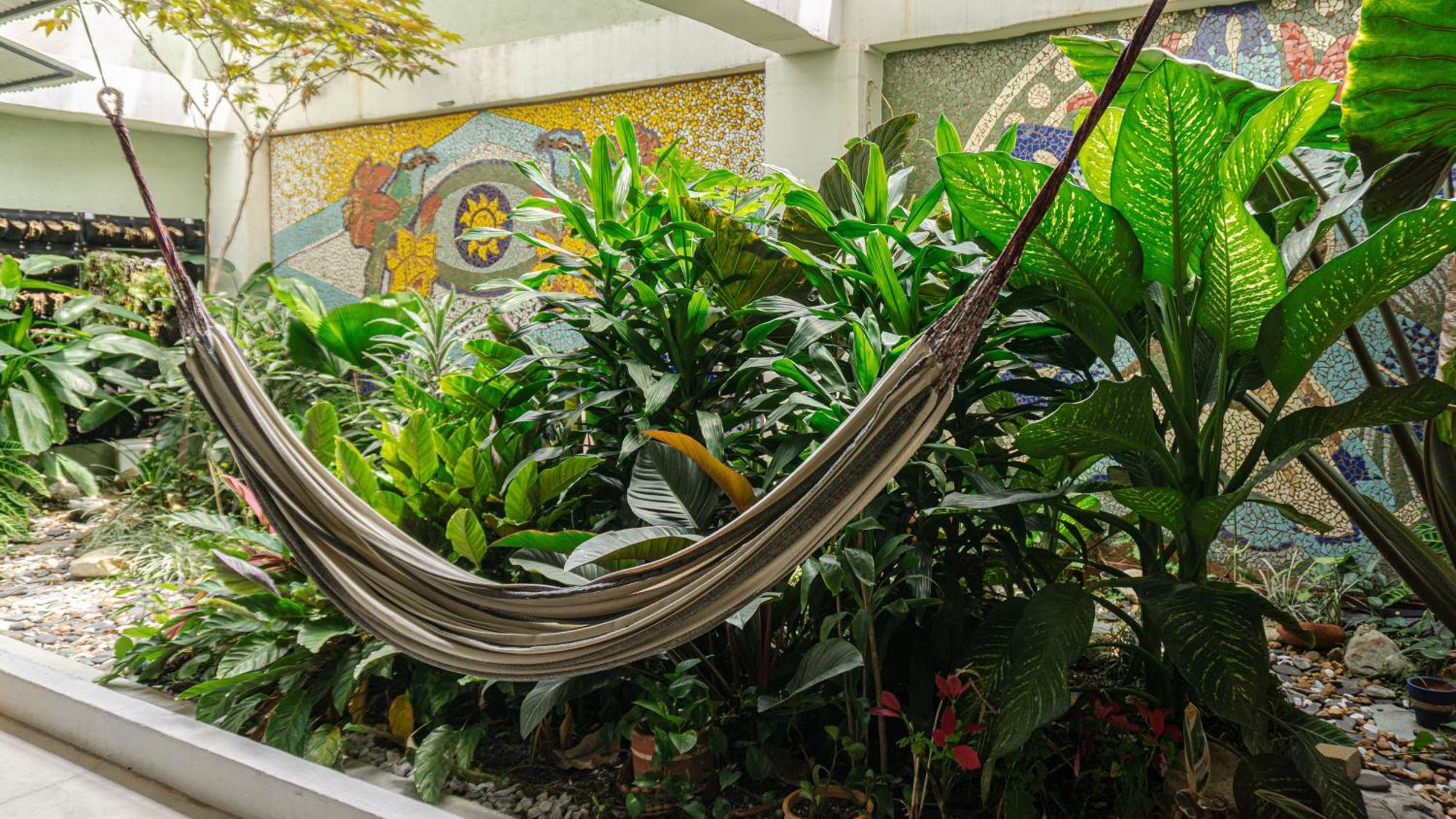 Selva House Bed and Breakfast Medellín Exteriör bild